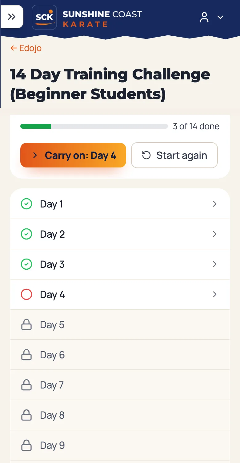 The Beginner course on a phone: 3 of 14 done, a Carry on: Day 4 button, Start again, days 1 to 3 ticked and later days locked.